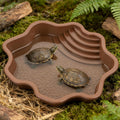 Pawfly Reptile Bathing Pool with Ramp, Reptile Food Dish Feeding Dish, Tortoise Water Dish Water Bowl with Steps, Turtle