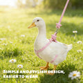 2Pcs Adjustable Chicken Harness and Leash Set, Duck Harness, Blue, Pink