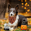ADOGGYGO Halloween Dog Bandanas, Reversible Bat Pumpkin Dog Scarf