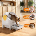 Thereye Cat Litter Box Step Stool, Easy-Clean for Senior Cats & Kittens