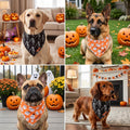 PTDECOR Halloween Dog Bandanas, Classic Skeleton Ghost Pet Scarf