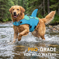Queenmore Dog Life Jacket, Cute Shark Dog Life Vest for Swimming & Boating