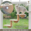 Cat Window Ladder, 3-Level Solid Pine Steps for Climbing and Bird Watching
