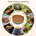 4Pcs Reptile Food Water Dish, Shallow Feeding Dish for Tortoise Terrarium
