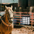 Hanging Web Horse Fan Holder Adjustable Box Fan Holder Horse Stall Fan Bag