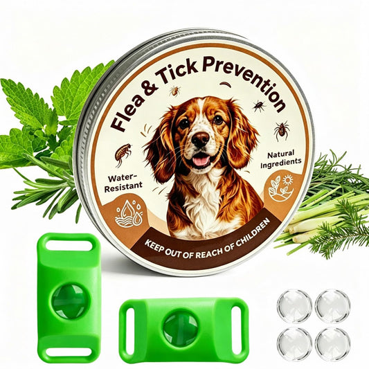 Natural Flea and Tick Prevention Pendant for Dogs Flea and Tick Collar, Waterproof Flea and Tick Repellent Dog Tag Safe for All Breeds & Sizes with 2 Silicone Buckles & 4 Refills, COLLAR NOT INCLUDED
