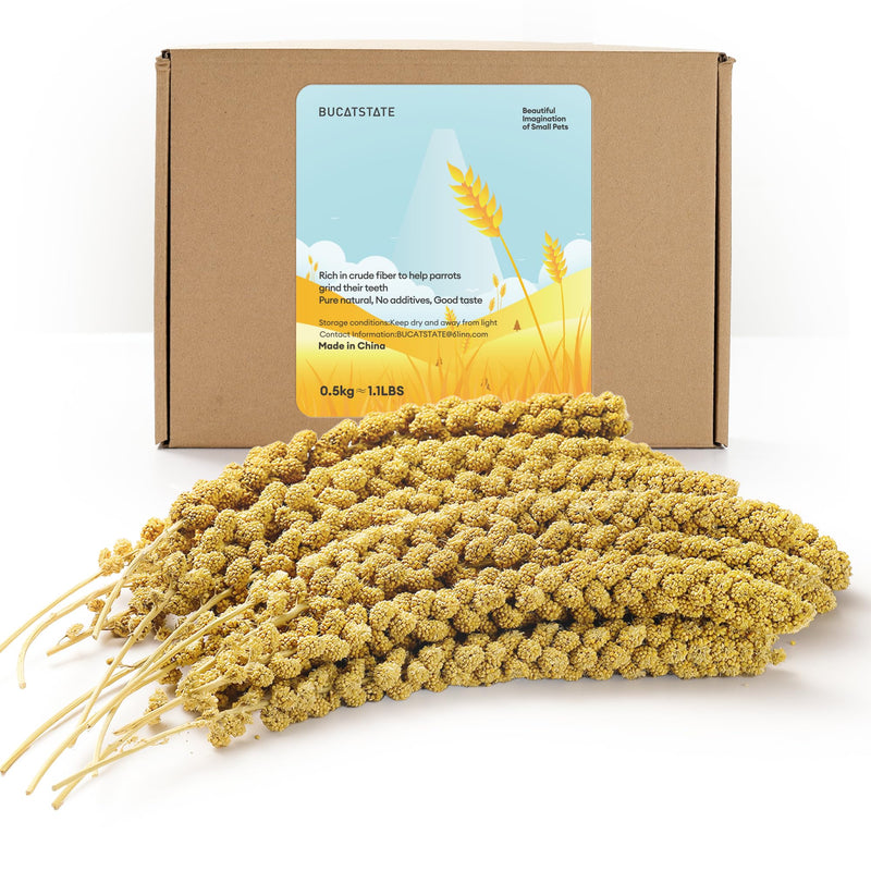 BUCATSTATE Spray Millet for Birds, Sun-Dried Healthy Millet Parakeet Treats for Parrots Cockatiel Lovebird Finch, GMO-Free Parakeet Food - 1.1lb