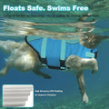 Dogcheer Dog Life Jacket, Cute Shark Dog Life Vest for Swimming Boating with Superior Buoyancy and Rescue Handle, Adjustable Puppy Floating Swim Vest for Small Medium Large Dogs - Pool Blue, XS
