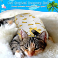 Kacctyen 6 Pack Cat Recovery Suit After Surgery Anti Licking,Fruit