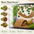 Bearded Dragon Tank Accessories, Reptile Mat Hammock Plants Bridge Jungle Climber Vines for Leopard Gecko Hermit Crab Li
