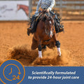 Farnam MaxFlex XR Extended Release Joint Supplement for Horses, Provides a continuous supply of joint health ingredients