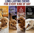 Devil Dog Pet Co Beef Collagen Sticks for Dogs Rawhide Free 6 Inch 10 Pack