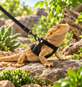 Bearded Dragon Leash and Harness Set, 3PCS Bearded Dragon Harness and Leash