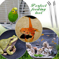 Lasnten 2 Pcs Reptile Feeding Tongs, 10 Inch &10.5 Inch, Long