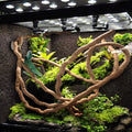 PINVNBY Bearded Dragon Hammock, Bearded Dragon Tank Accessories, Jungle Climber Vines Flexible Reptile Terrarium Leaves 