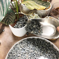 Black Rock, CJGQ 18lb River Rocks Pebbles for Plants Succulents, Decorative Outdoor Landscaping Garden Rocks, Natural Sm