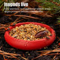 12-Pack Small Feeding Dish for Reptiles, Colorful Feeder Bowls for Isopods, Springtails, Dubia Roaches & Dwarf Invertebr