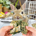 Rabbit Chew Toys 12pcs Timothy Hay Treats Bunny Herbal Flower Snack