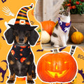 Abbylike 50 Pcs Halloween Dog Bandanas Bulk, Pumpkin Ghost Bat Skull