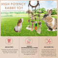Bissap Bunny Chew Toy, Rabbits Cage Hanging Chew Toys and Treats Grapevine Wreaths Rattan Ring with Snacks for Guinea Pi