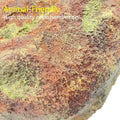 Extra Large Reptile Hide Resin Snake Hideout for Ball Pythons Amphibians Hides and Caves Simulation Rock Reptile Habitat