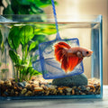 Mogoko 2 Pack Aquarium Net Fish Net Small Net Multi-Size Fine Mesh Fish Net
