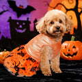 Dog Halloween Costume Dog Dress Witch Tulle Skirt Halloween Pet Clothes for Puppy Small Cats