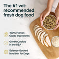 JustFoodForDogs JustFresh Fresh Sensitive Stomach Dog Food Pouches - 7 Pack