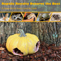 Pumpkin Leopard Gecko Hide Reptile Bearded Dragon Tank Hideout Caves Accessories Halloween Turtle Lizard Snake Décor Amp