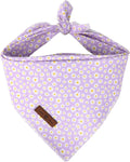 Lionet Paws Spring Daisy Dog Bandana Washable Cotton Handkerchief Scarf Triangle Purple Bandana for Small Medium Large D