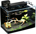 5 Gallon Fish Tank Kit with Filter Light with Timer, Lid Rimless Glass