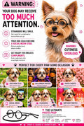 G015 Dog Cat Pet Costume Glasses Goggles for Small Breeds up to 15lbs (Round Black-Clear Lens)