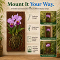 Fernwood New Zealand Tree Fern Orchid Mounting Board - 2 Pack - Size 12x6x1