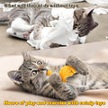MALLMALL6 Catnip Toys for Cat - 5Pcs Dino Nuggets Cat Toy, Indoor Kitten Chew Bite Kick Dinosaur Chicken Nugget Catmint Interactive Pet Supplies, Cute Pet Gifts for Kitten Lover