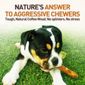 Wildfang® Olive Wood Chewing Sticks for Dogs, Medium – Tough Chew Toys for Aggressive Chewers, Puppy Chew Toys for Teeth