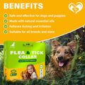 Natural Flea & Tick Collar for Dogs - 6 Months Control of Best Prevention & Safe Treatment - Anti Fleas and Ticks Essent