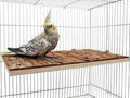13.6 × 7.9 inch Large Bird Perch Stand Platform, Natural Wooden Small Animals Cage Accessories, Rectangle Stand Perch Shelf for Parrot Parakeet Cockatiel Rat Hamster Guinea Pig Conures Chinchillas