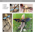 Bearded Dragon Leash and Harness Set, Beardie Carrier, Lizard Adjustable Harness with Leather Wings and Sling Bag, Repti