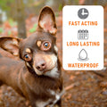 Pet Defender Plus for Dogs & Puppies Flea & Tick Topical, 1 Count, 8 Weeks and Older Weighing 23-44 lbs