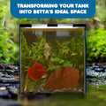 SunGrow 10 Indian Almond (Catappa) Leaves 4″-7″ for Betta Fish – Natural Aquarium Water Conditioner, Adds Tannins, Lower