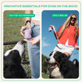 Springland Silicone Dog Training Treat Pouch for Leash