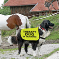 Zuo Bao Therapy Dog Jacket Vest for Large Dogs (Therapy Dog in Training-Large)