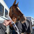 Pre-Performance Paste for Horses - All Natural Calmer, Acid Buffer, Gastric Support w/Electrolytes - 60ml Syringe