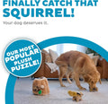 Outward Hound Hide-A-Squirrel Puzzle Toy