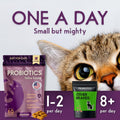 PURPLE CAT Probiotics for Cats, Gut and Digestive Health Support, 60 Chews