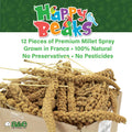 A&E Cage Co AE9054 Premium French Spray Millet for Birds – 6oz Retail Bag with 12 Natural Millet Sprays – Healthy Bird Treat for Budgies, Parakeets, Cockatiels, Finches & Small Birds