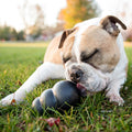 KONG Extreme Dog Toy, Durable Natural Rubber Chew, for X-Large Dogs
