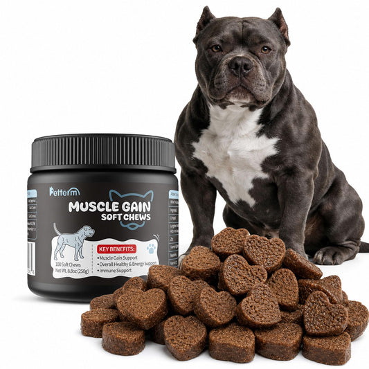 Dog Weight Gainer & Muscle Builder - High Calorie Dog Treats for Lean Mass - Whey Protein & Amino Acid Supplement - Appetite Booster Food Topper for Underweight, Senior & Active Breeds (100 Ct)