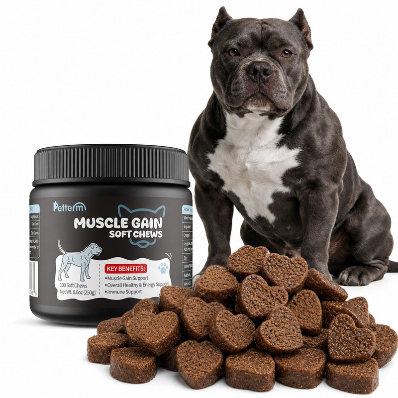 Dog Weight Gainer & Muscle Builder - High Calorie Dog Treats for Lean Mass - Whey Protein & Amino Acid Supplement - Appetite Booster Food Topper for Underweight, Senior & Active Breeds (100 Ct)