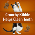 Purina Friskies Cat Treats, Party Mix Chicken Lovers Crunch - 20 Oz. Pouch